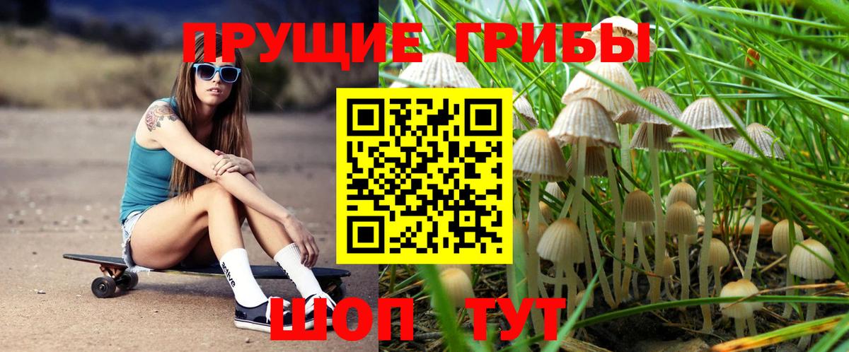 Псилоцибиновые грибы GOLDEN TEACHER  Вход с VPN  Еманжелинск 